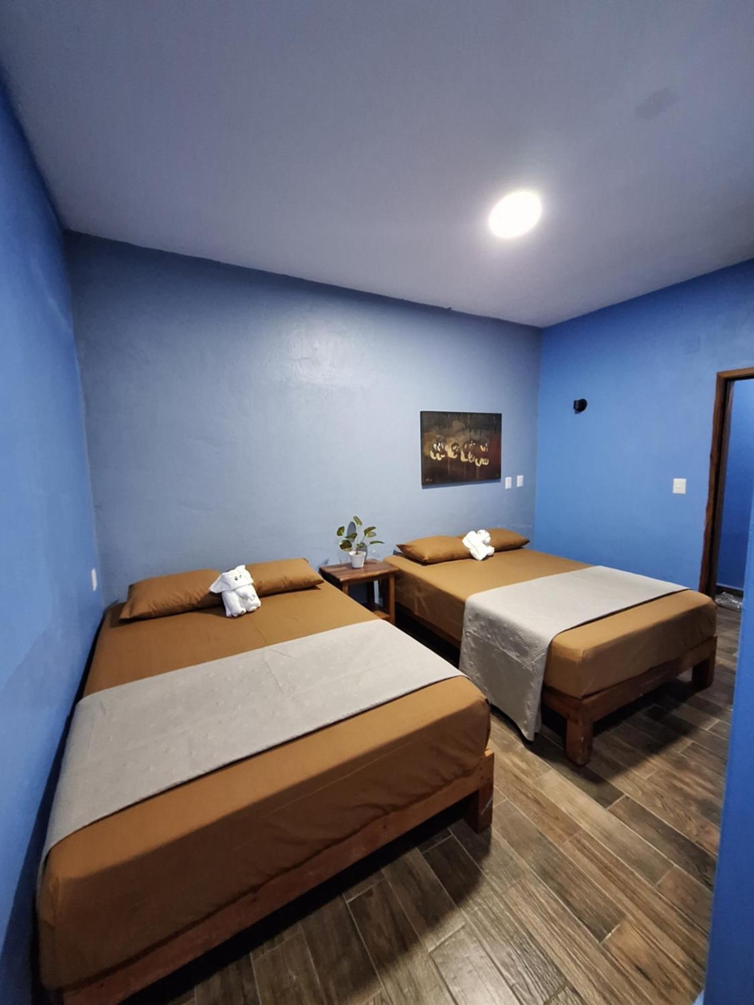 La Casa Azul De Samara Barrio Nuevo Exterior foto